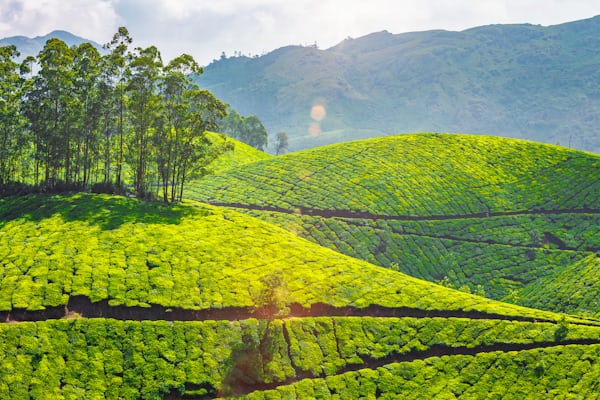 Munnar